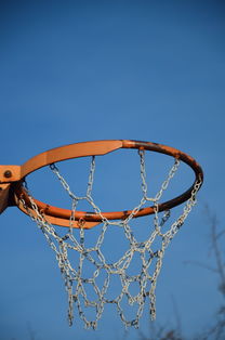 mk体育网页-NBA球员体能训练计划设计与效果评估，nba球员的体能训练