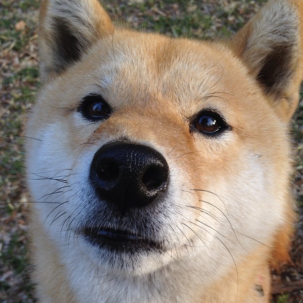 mk体育平台网页版入口-新闻中心开展环保节能项目，我市开展节能环保行动