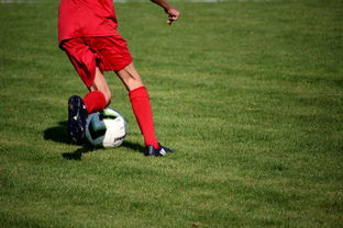 mk体育app下载-篮球运动员心理健康维护与心理干预体系建设，篮球运动员心理素质的重要性