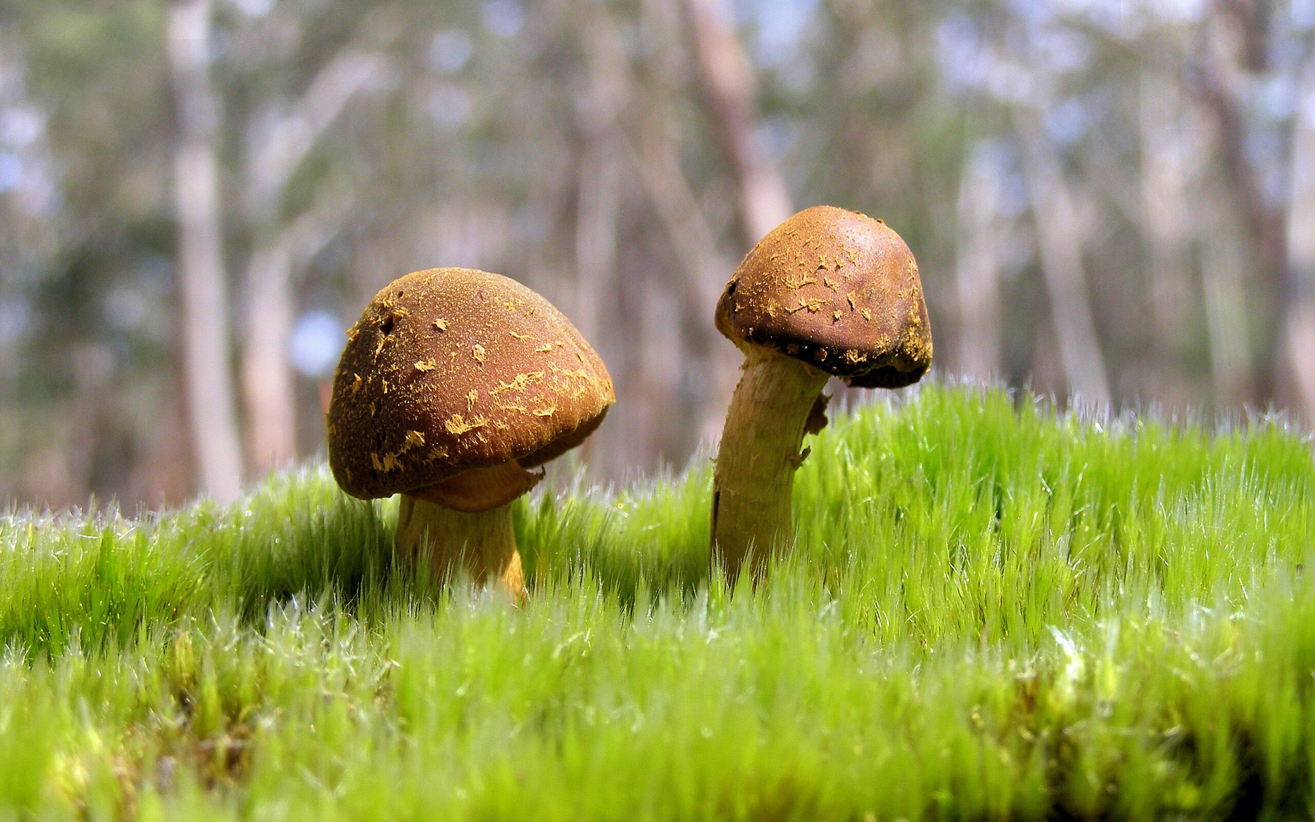 mk体育现在-西甲球队结合心理监测优化高压比赛轮换方案