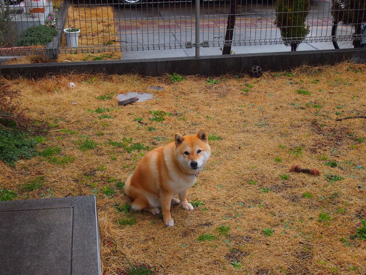 mk体育网页-“世界顶级选手齐聚武汉,马拉松赛场激烈开跑” 第1张 mk体育网页-“世界顶级选手齐聚武汉,马拉松赛场激烈开跑” 第1张