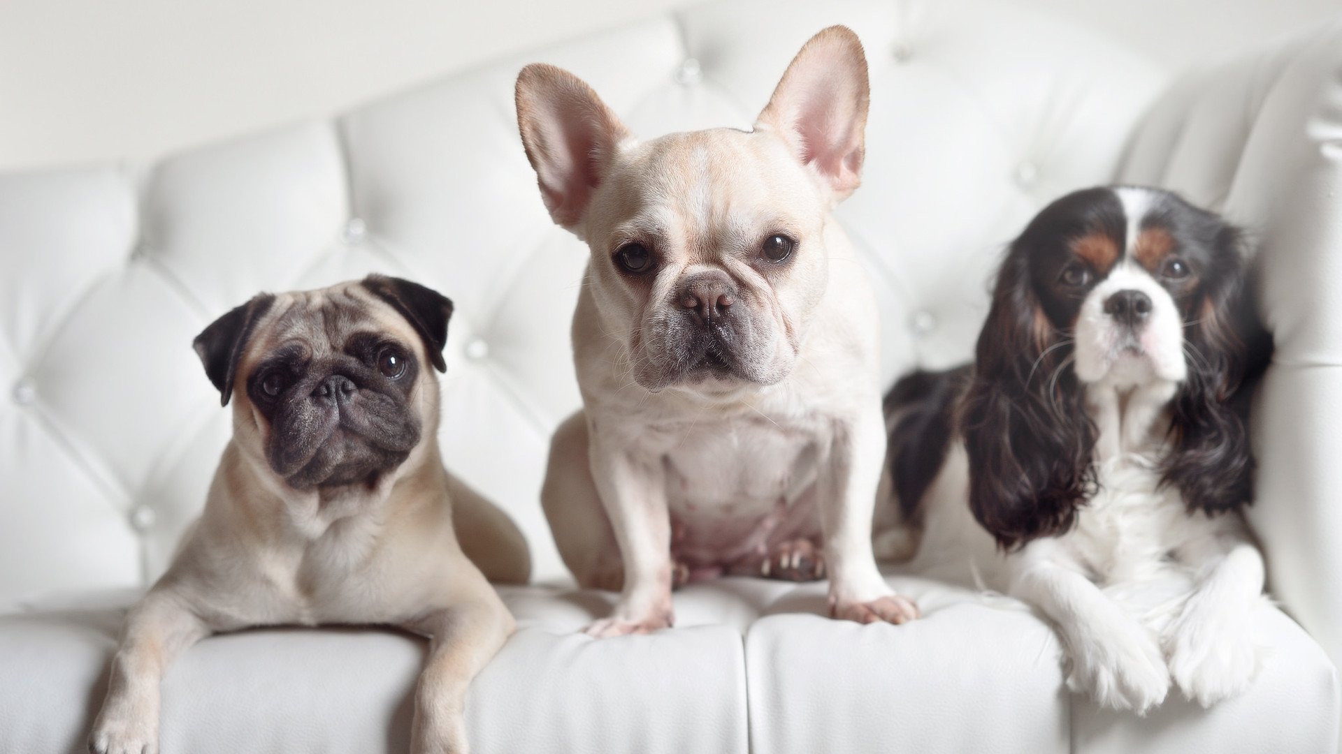 mk体育官方网站-乒乓球技术分析软件帮助选手优化战术，乒乓球技术分析软件帮助选手优化战术的方法