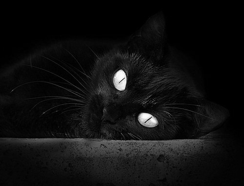 mk体育全站-亚冠赛场中日韩球队上演焦点之战，中日韩足球