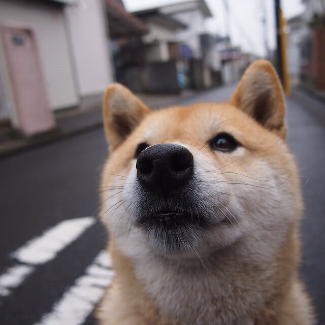 mk体育平台登录入口-从战术选择到进球手段：压迫正主导现代足球，足球压迫防守