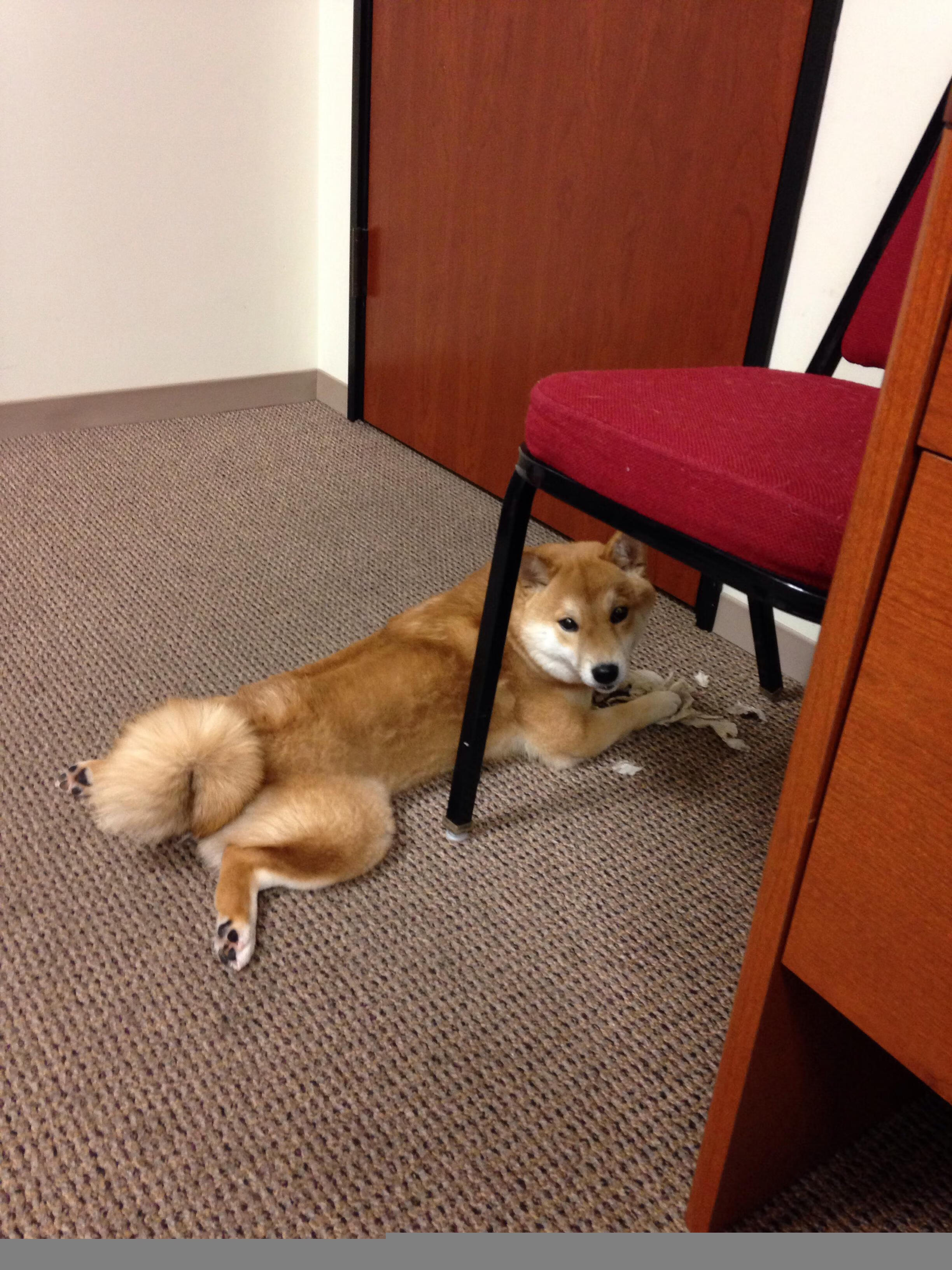 mk体育官方网站-体育新闻中心发布运动员健康数据管理平台，运动员 健康