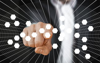 mk体育-蛙泳技术结构分析：谁更高效？，蛙泳的基本技术有哪些