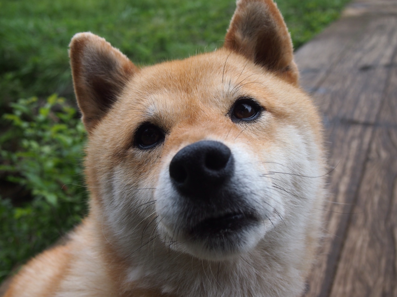 mk体育官网-训练方式不断优化助力成绩突破，训练原则优化的内容