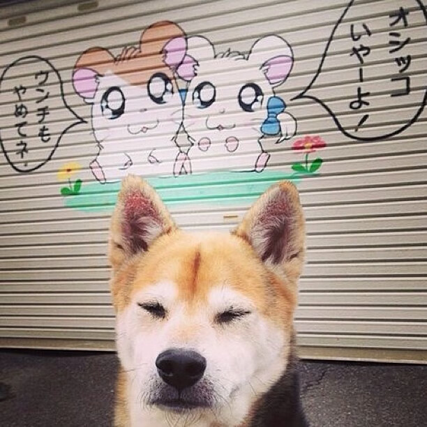 mk体育平台网页版入口-青少年比赛奖项机制鼓励团队合作，青少年含金量高的比赛