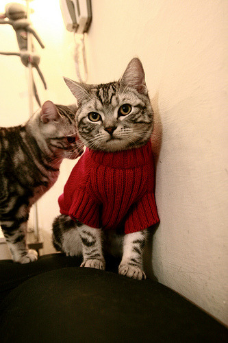 mk体育平台网页版入口-丁俊晖坦言每一场球都当作最后一战,丁俊晖最后一局视频