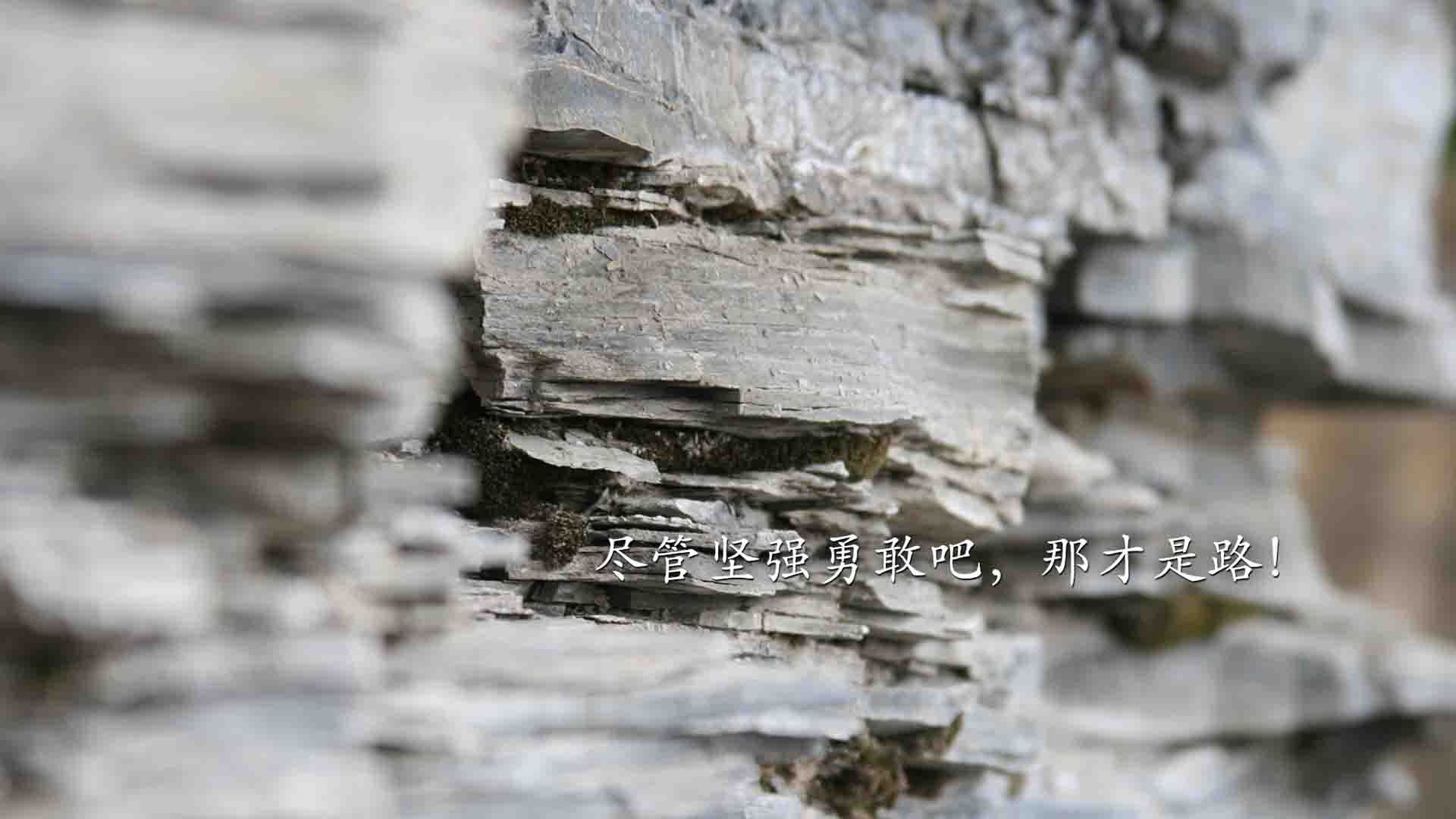 mk体育登录-世界杯赛后运动员心理调适,运动员赛后心理调整