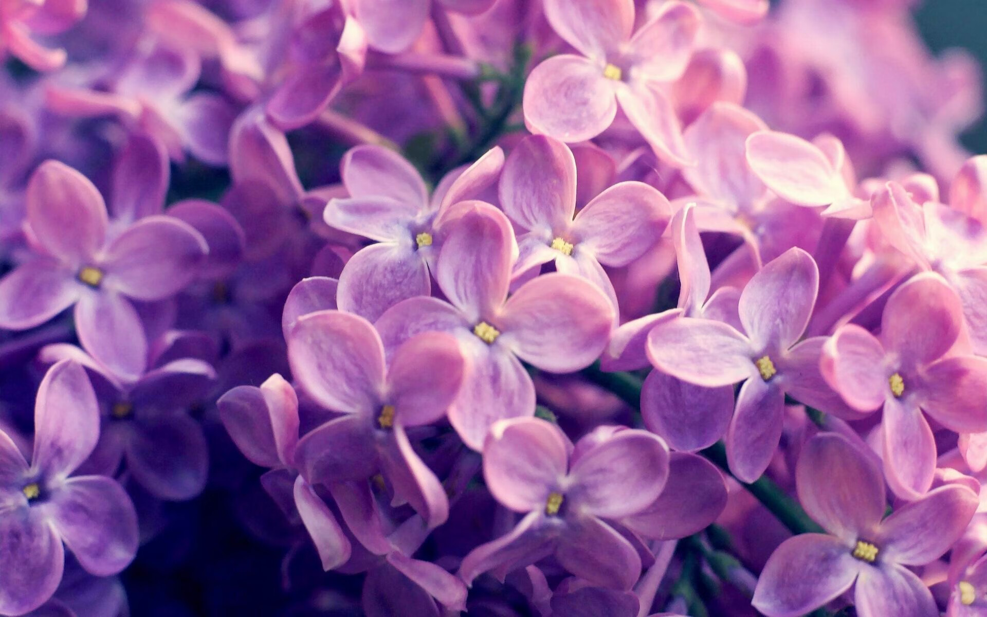 体育mk-乔治数据爆表快船东部前四稳固，乔治快船续约