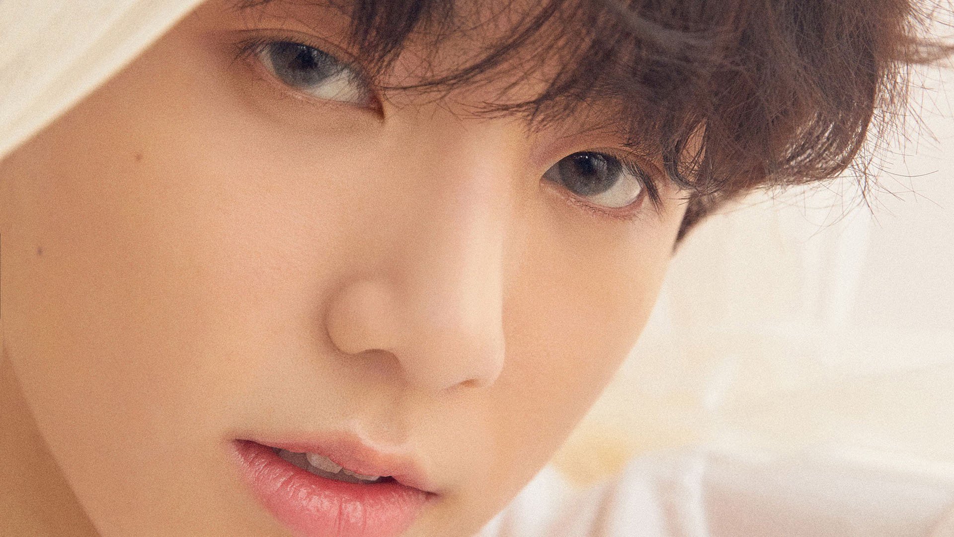 mk体育现在-国际裁判判罚透明化平台上线，提高信任度，国际裁判文书网