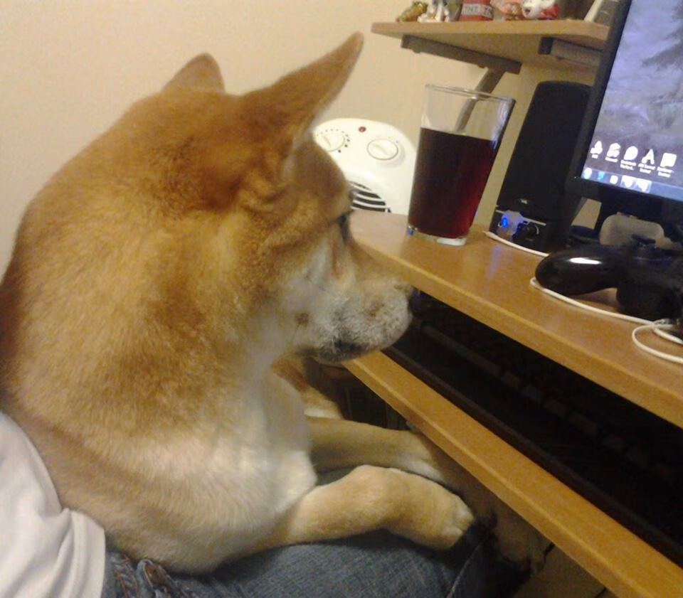 mk体育下载-恩多耶-布鲁阿尔男子200米仰泳决赛表现亮眼，男子200米仰泳全国纪录