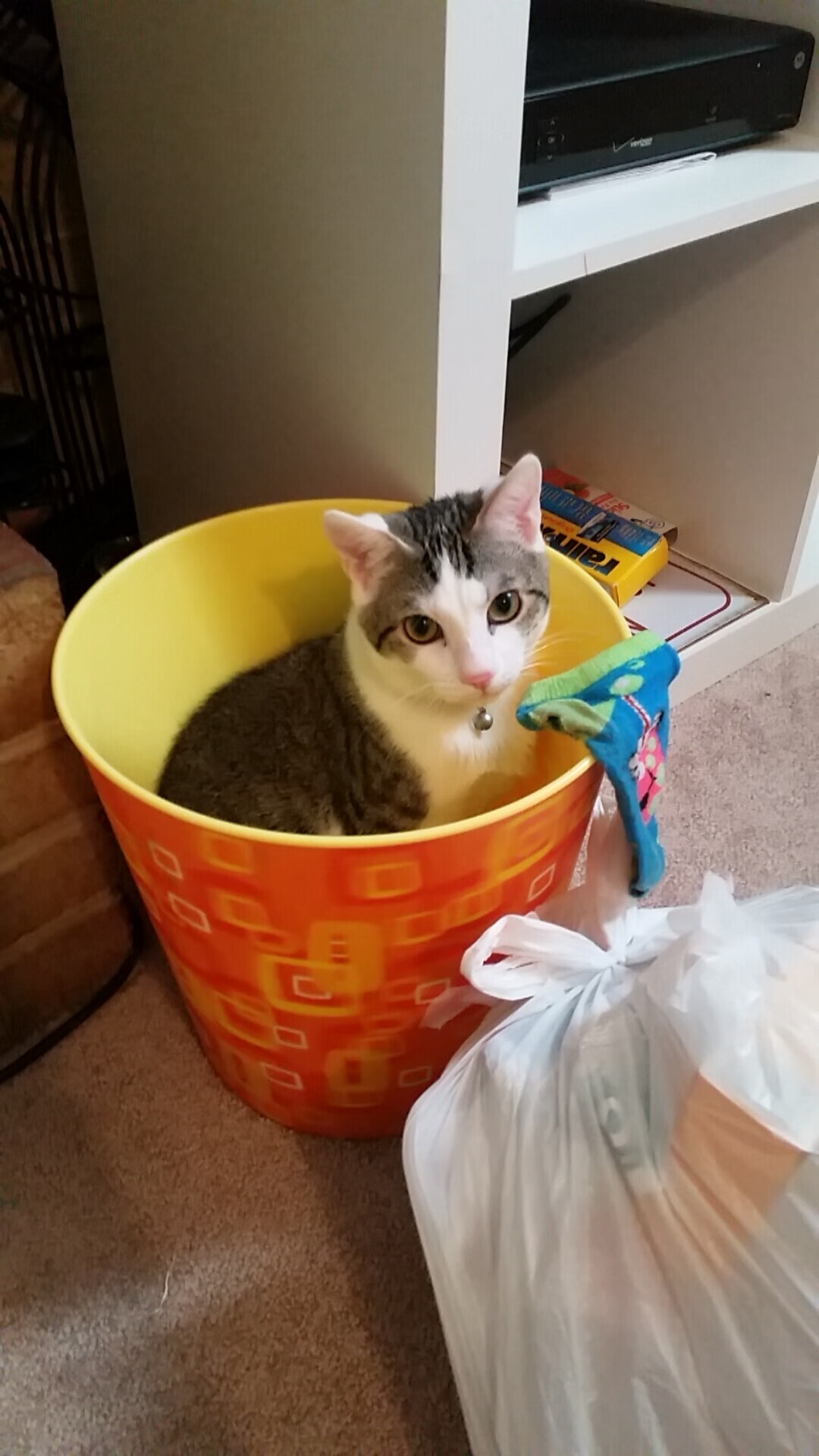 mk体育平台网页版入口-李娜鼓励女儿多尝试不同运动项目，李娜励志