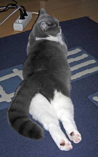 mk体育-皮特·库策决赛发挥超出预期,皮特比赛视频