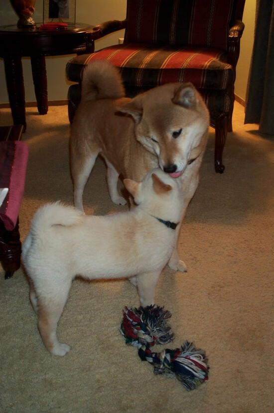 mk体育平台网页版入口-青训中心开展球员家长课堂促进家庭支持力建设，球队家长 发言